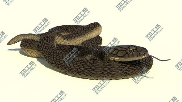 images/goods_img/20210312/Indian Cobra Rigged Animated 3D/3.jpg